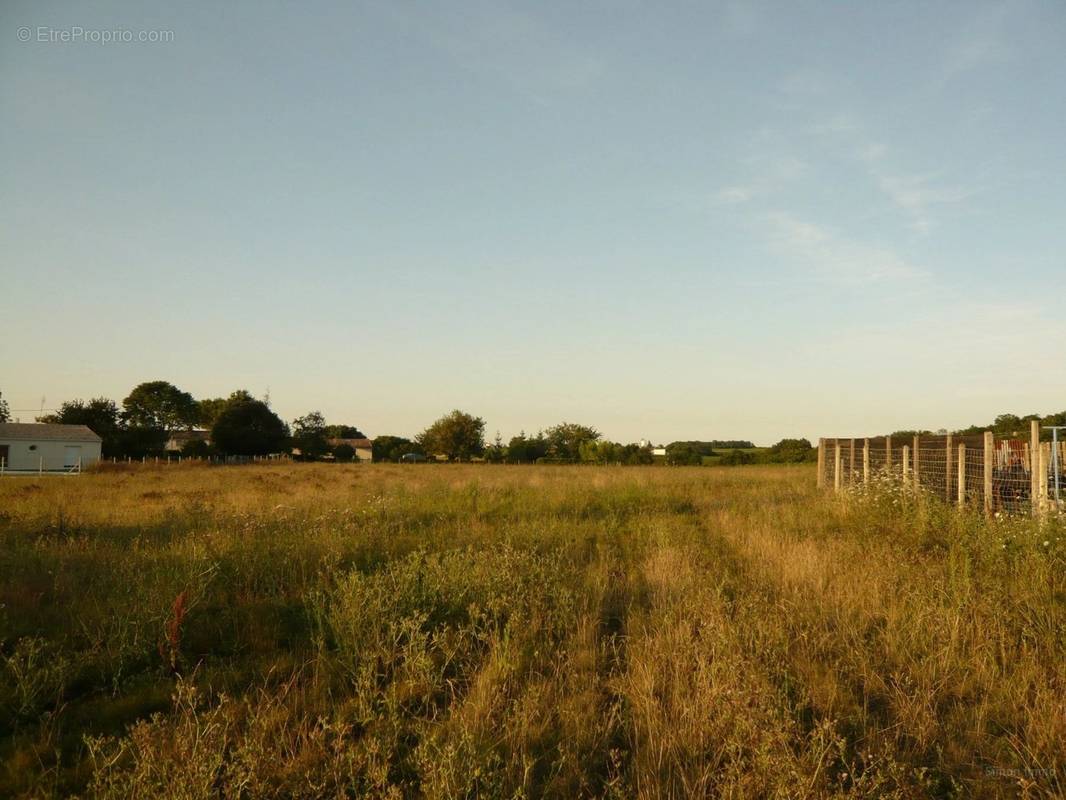 Terrain à BUSSAC-SUR-CHARENTE