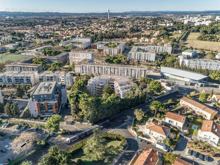 Carmina à Montpellier