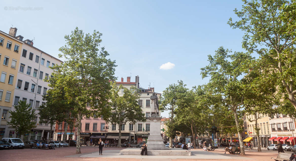 Le calisté à Caluire Et Cuire