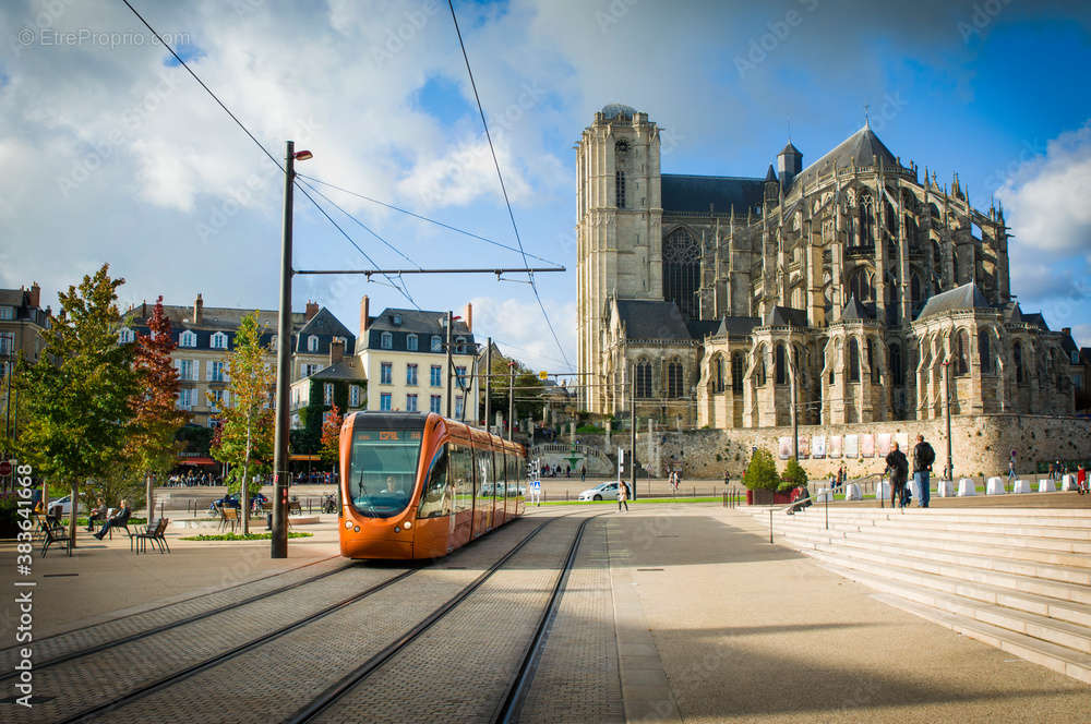 Les bosquets à Le Mans