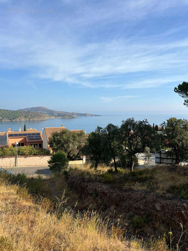 Exceptionnel banyuls sur mer à Banyuls Sur Mer