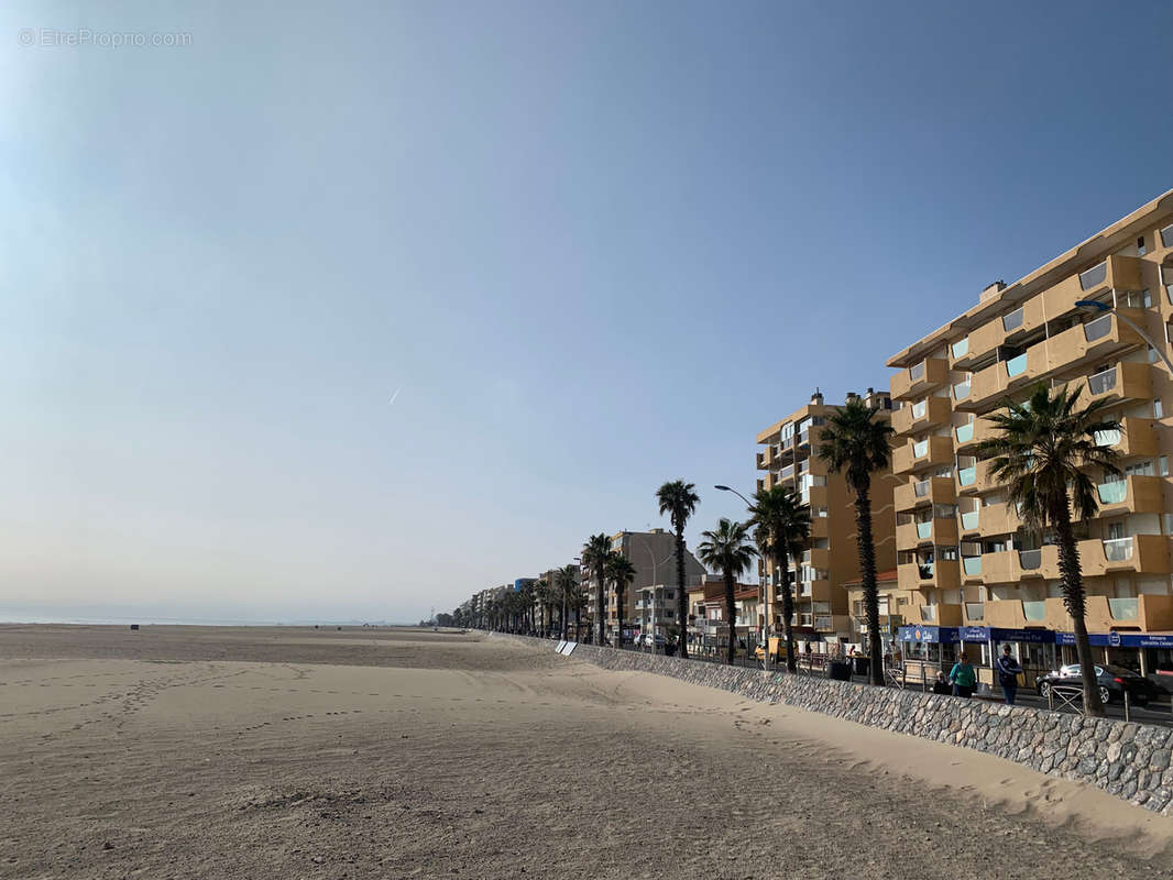 Le miami à Canet En Roussillon