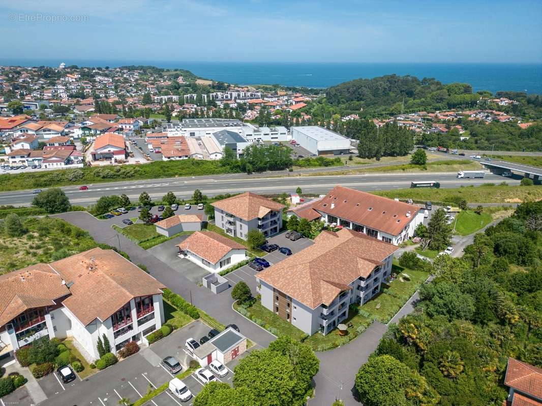 Anderenia à St Jean De Luz