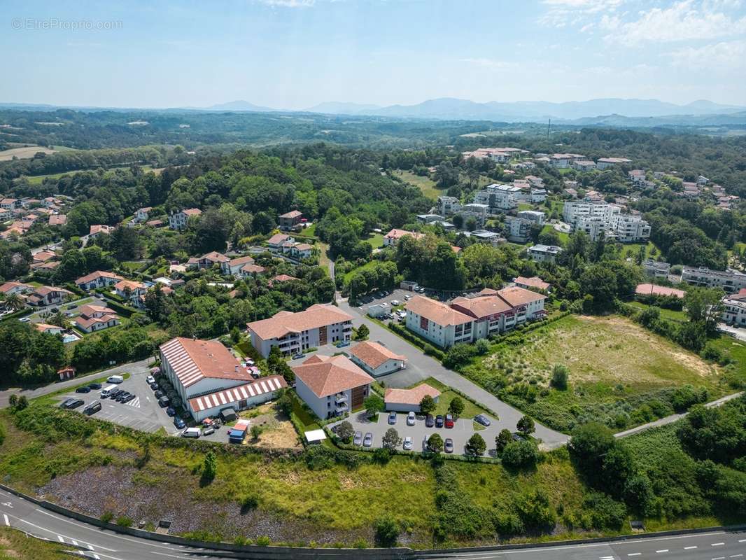 Anderenia à St Jean De Luz