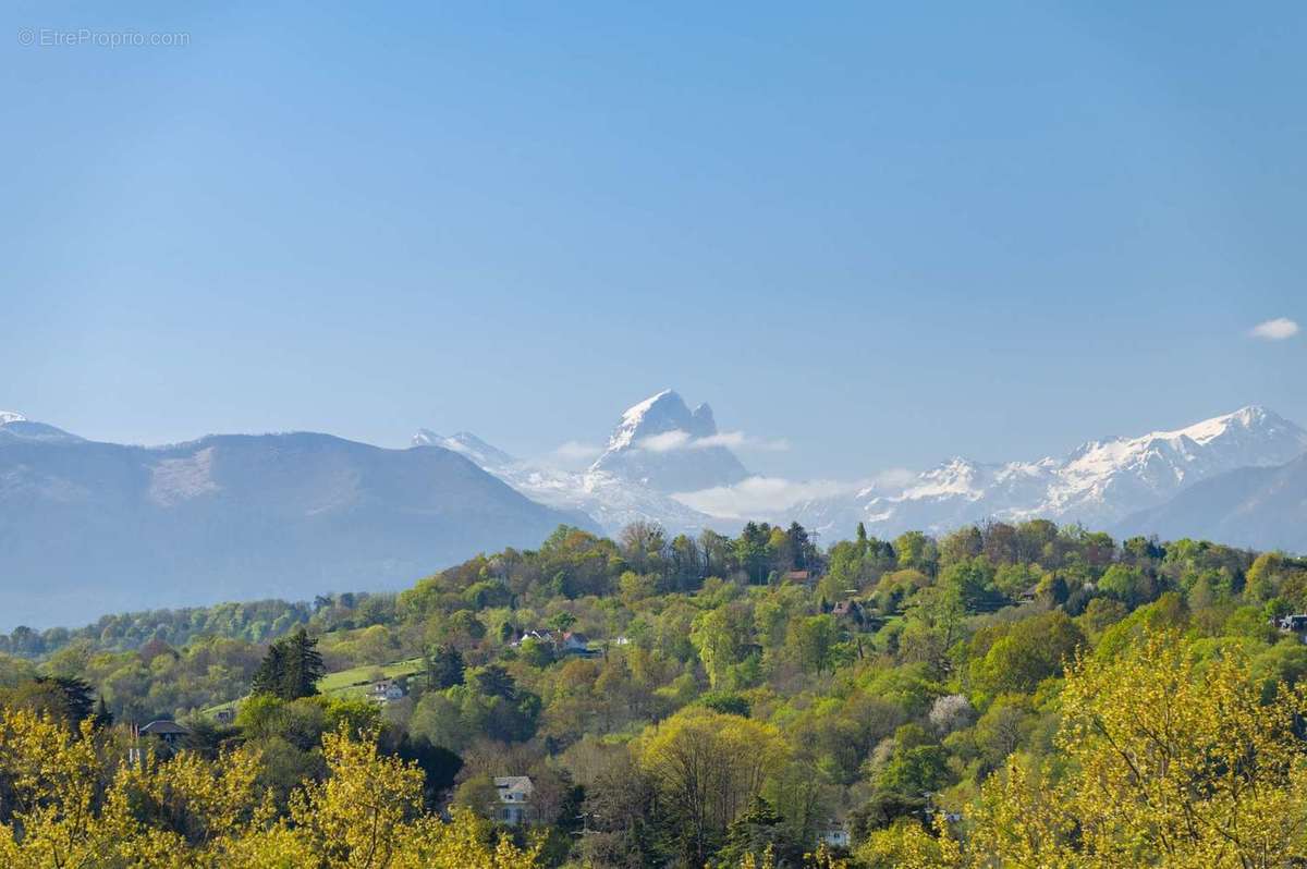 Le fleuron à Pau