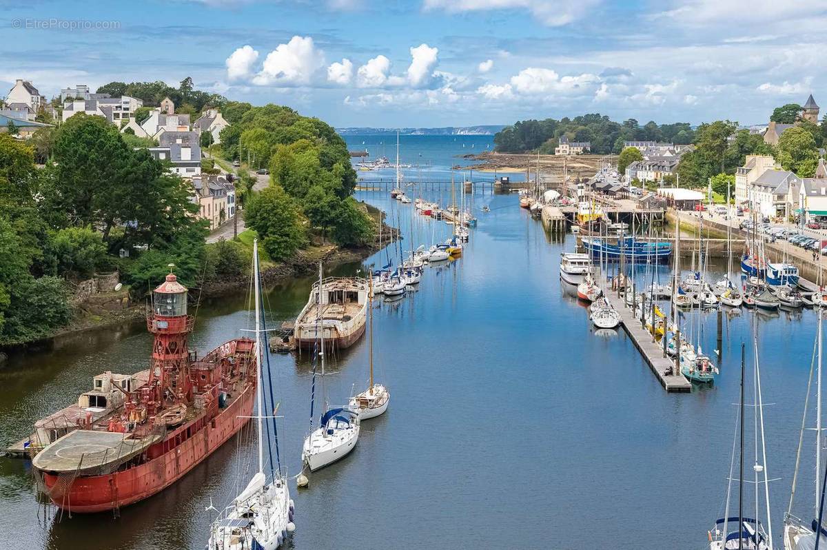 Azurea à Douarnenez