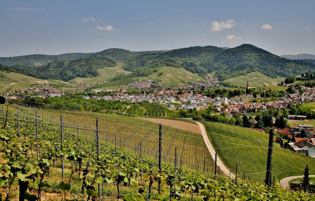 Le clos du vignoble à Dorlisheim